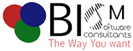 BISM Software Consultants